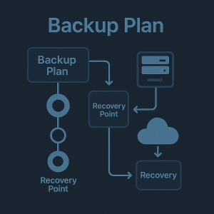 Disaster Recovery & Network Backup Plan Kit